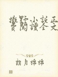 撒野小说正版免费阅读全文无删减