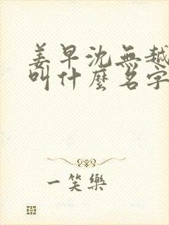 姜早沈无越小说叫什么名字