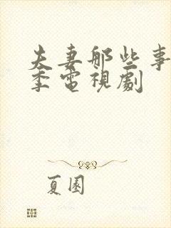 夫妻那些事第一季电视剧
