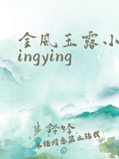 金风玉露小说wingying