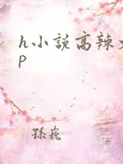 h小说高辣文np