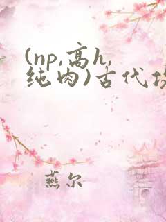 (np,高h,纯肉)古代攻受