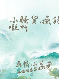 小骚货,操的嗷嗷叫