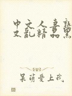 中文人妻熟女乱又乱精品黑人
