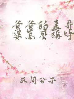 爸爸的表哥的老婆怎么称呼