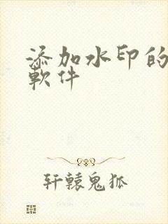 添加水印的免费软件