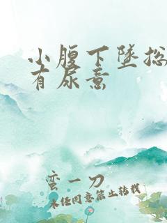 小腹下坠总感觉有尿意