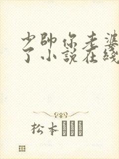 少帅你老婆又跑了小说在线收听