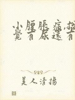小腹胀痛,总感觉有尿还有血