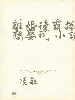 离婚后霸总天天想娶我 小说