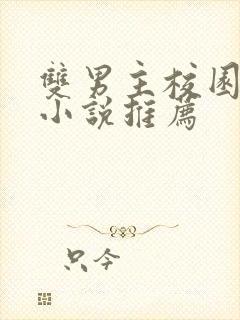 双男主校园甜宠小说推荐