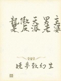 龙傲天男主就该是反派老婆