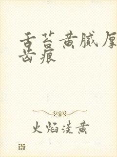 舌苔黄腻厚白有齿痕