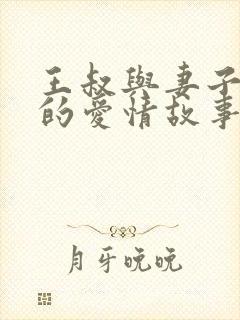 王叔与妻子王叔的爱情故事免费阅读