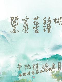 开完花的蝴蝶兰怎么处理