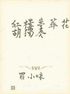 红楼梦葬花吟二胡独奏
