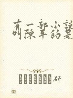 有一部小说主角叫陈平的是什么小说