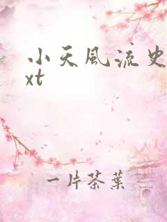 小天风流史 txt