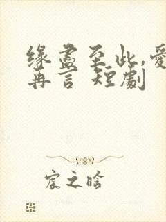 缘尽至此,爱不再言 短剧