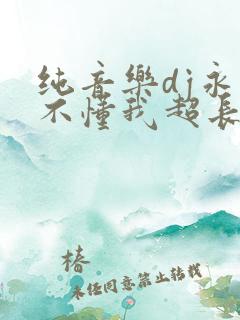 纯音乐dj永远不懂我超长版