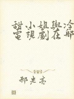 甜小姐与冷先生电视剧在哪个台播放