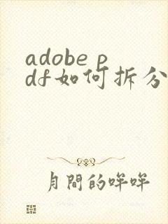 adobe pdf如何拆分成多个文件