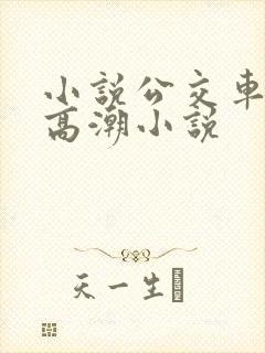 小说公交车被上高潮小说
