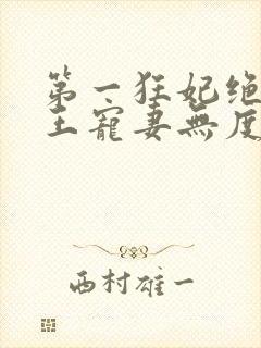 第一狂妃绝色邪王宠妻无度免费阅读