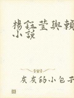 杨钰莹与赖昌星小说
