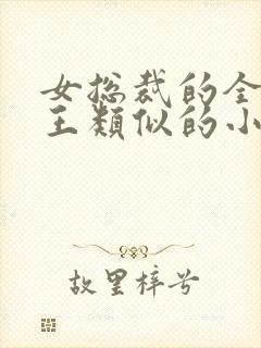 女总裁的全能兵王类似的小说