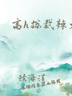 高h总裁辣文