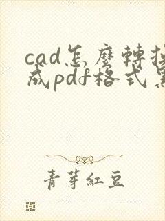 cad怎么转换成pdf格式黑白