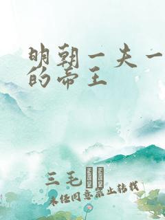 明朝一夫一妻制的帝王