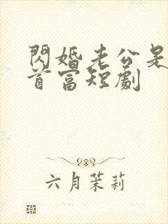 闪婚老公是全球首富短剧