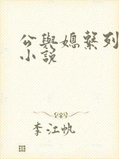 公与媳系列苏玥小说