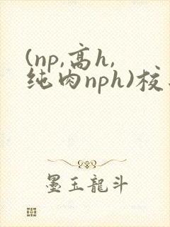 (np,高h,纯肉nph)校园