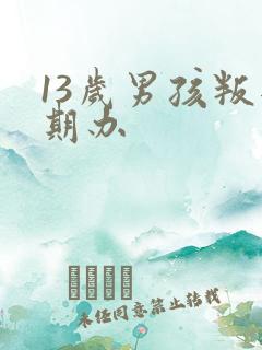 13岁男孩叛逆期办