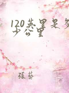 120英里是多少公里