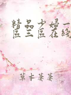 精品少妇一区二区三区在线一区