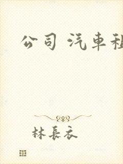公司 汽车租赁