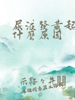 尿液发黄起沫是什么原因
