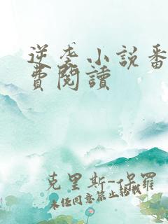 逆袭小说番外免费阅读