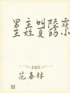 男主叫陆霆琛女主姓夏的小说