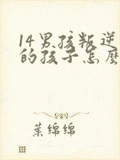 14男孩叛逆期的孩子怎么去引导