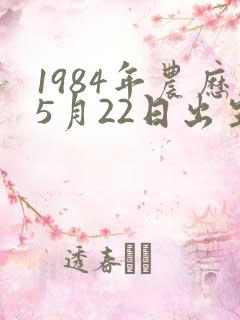 1984年农历5月22日出生的命运