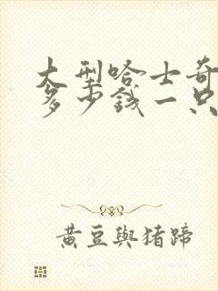 大型哈士奇犬狗多少钱一只