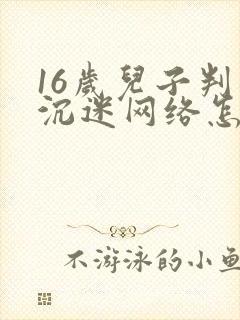16岁儿子判逆沉迷网络怎么办