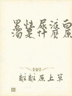 男性尿液白色浑浊是什么原因