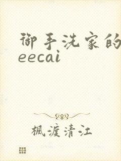 御手洗家的事meecai
