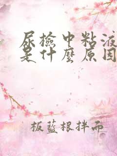 尿检中粘液丝高是什么原因